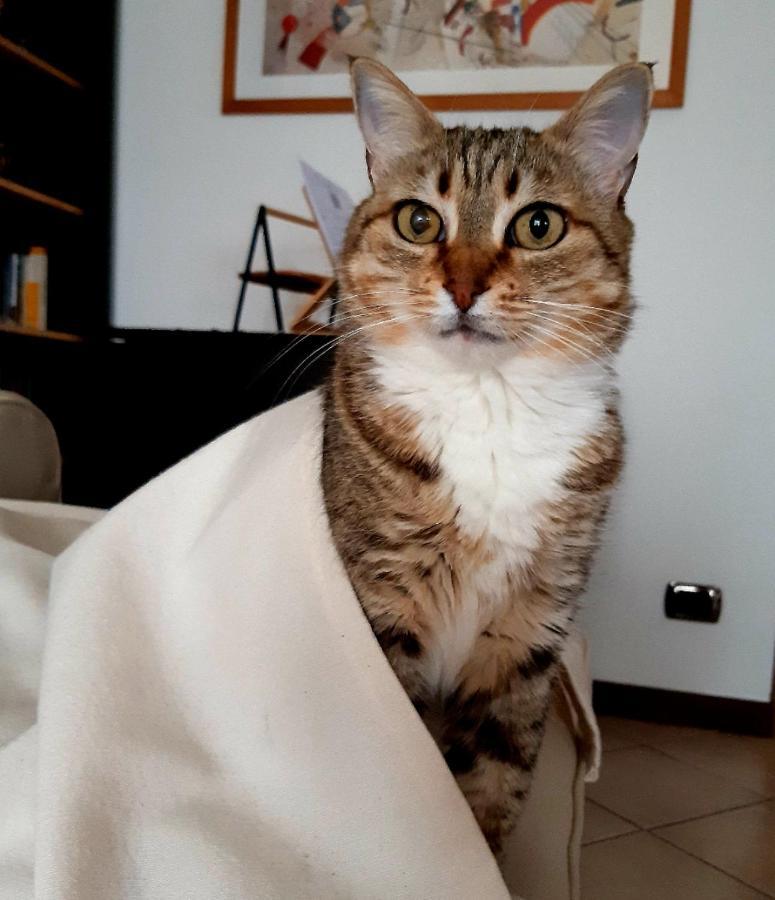 Un Buon Inizio Panzió Torino Kültér fotó